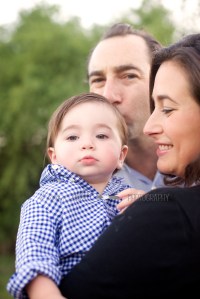 silverstein-cohenblog 537