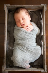 presleyclareBLOG 1676